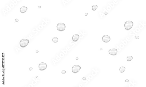 Bild auf Leinwand Realistic water drops and condensation on transparent background