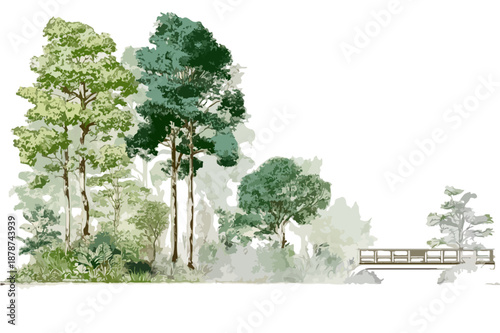 Ilustração botânica de árvores frondosas e vegetação densa com ponte rústica em fundo transparente