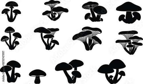 Mushroom silhouettes and fungi icons collection including wild forest mushrooms, chanterelles, agaric, porcini