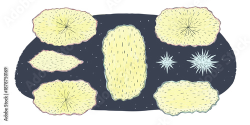 Transparent abstract illustration of microscopic yellowish-white cellular and organic irregular shapes, ideal for science and medical design projects.