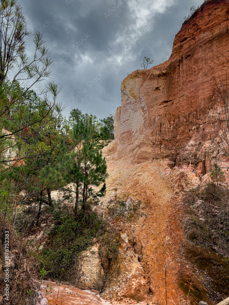 Fototapeta premium Red clay canyon cliff with pine trees under stormy sky