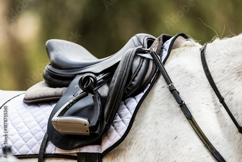A black saddle on a white horse. The saddle is very elegant and neat, perfectly clean, with silver stirrups. It has a white saddle pad.