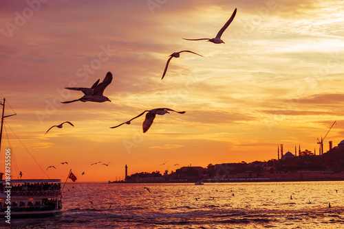 Photography A ferry ride along the Bosphorus. Beautiful, colorful sunset.