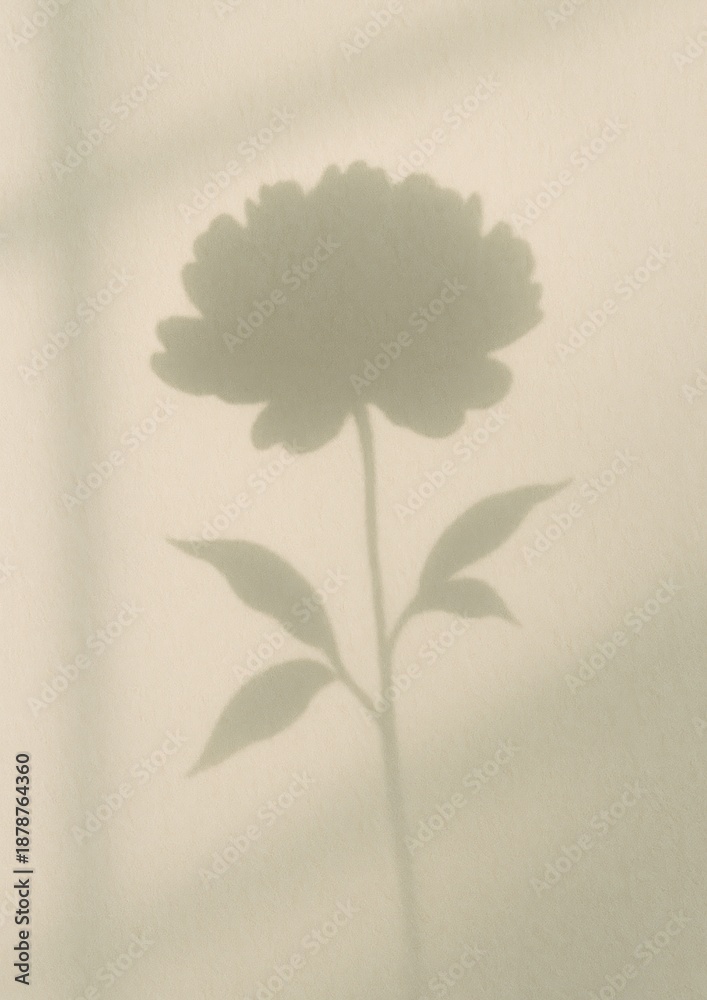 Fototapeta premium Elegant floral shadow silhouette