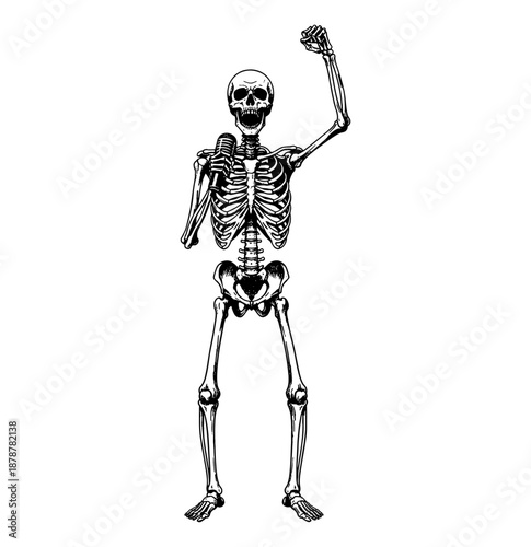 Human skeleton holding a microphone and raising a fist in a powerful expressive gesture full body
