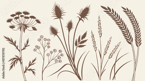 Vintage Botanical Engraving Wildflowers and Wheat Harvest Set for Rustic Packaging Design and Herbal Branding Projects