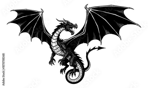 Ferocious Black Dragon with Wide Spread Wings and Open Roaring Mouth Detailed Engraving Style Illustration