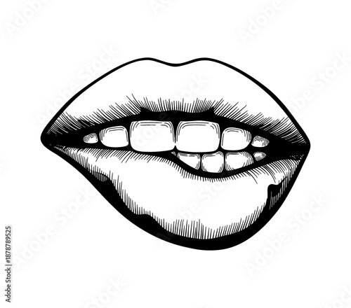 Sensual woman lips biting her lower lip showing white teeth in a detailed black and white illustration