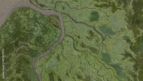 Canvas-taulu Aerial view intertwining patterns of marshland wetlands and river
