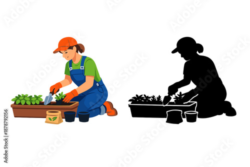 Schilderij op canvas Gardener planting seedlings in a planter