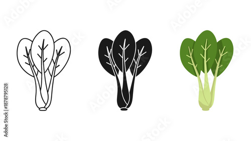 Bok choy illustrations in various styles on white background bok choy bok choi pak choi chinese cabbage