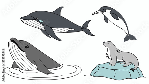 Marine Mammals Illustration Dolphin Whale Seal Sea Lion Ecology Education Design for Ocean Conservation Websites and Wildlife Print Materials