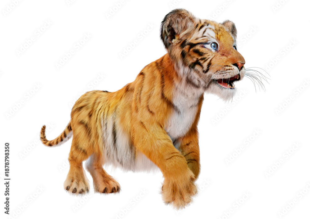 Obraz premium 3D Rendering Tiger Cub on White