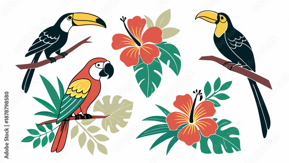 Fototapeta premium Tropical Toucan Parrot Hibiscus Flower Illustration for Summer Vacation Travel Web Design Print Projects