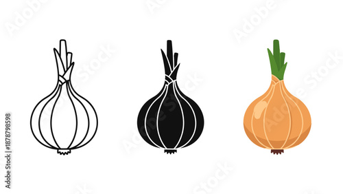 Three onions illustrated in different styles from line art to colored on a white background with varying