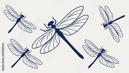 Five Stylized Dragonfly Illustrations for Nature Design Projects Summer Insect Art Graphics for Wellness or Eco Branding