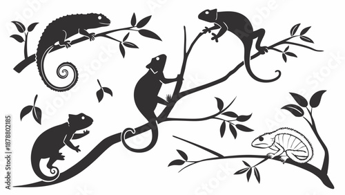 Chameleon Silhouette Collection Climbing Tree Branches Wildlife Design Element for Nature Education or Reptile Pet Shop Graphics