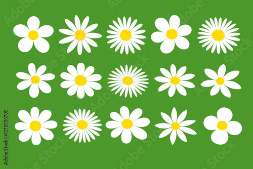 Set of white daisy flowers with yellow centers on a green background, arranged as simple flat icons with varied petals. Fresh spring floral collection for design.