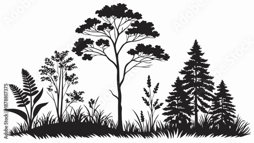 Black Silhouette Forest Landscape with Tall Trees Ferns Grass for Nature Design Ecology Website Banners