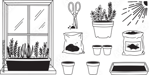 Gardening tools and plants on a windowsill illustration set