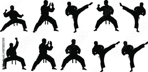 Karate martial artist silhouettes performing kicks and stances, traditional fighting techniques, discipline strength training poses, combat sport action, isolated black illustration