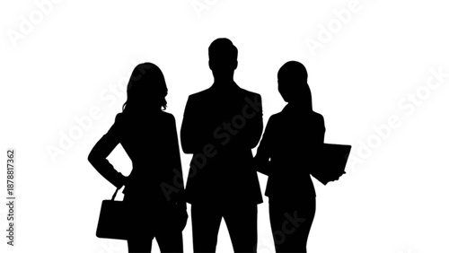 Professional team of diverse business people in silhouette standing together with confidence