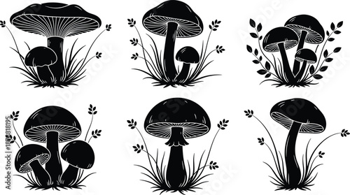 Mushroom silhouettes collection, wild forest fungi plants, botanical nature elements, isolated black toadstool shapes, vector illustration set