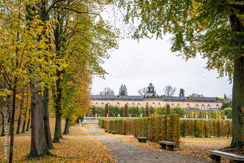 Alley of trees in autumn park in Potsdam Germany. Old plant garden nature