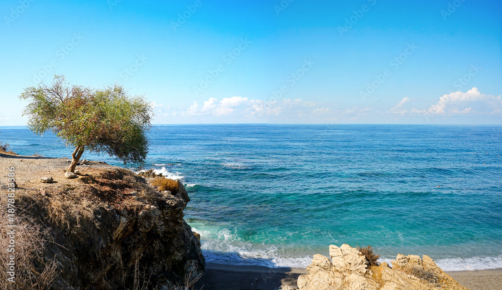 Fototapeta premium Isolated tree on a rocky cliff overlooking the bright turquoise sea under a vast blue sky. Scenic coastal nature landscape symbolizing solitude, endurance, travel, and environmental beauty.