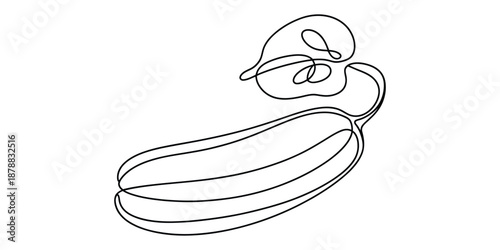 Minimalist one line cucumber drawing with leaf