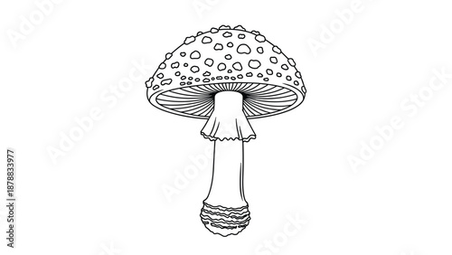 Detailed black and white line art illustration of a fly agaric or amanita muscaria mushroom, a classic poisonous toadstool icon.