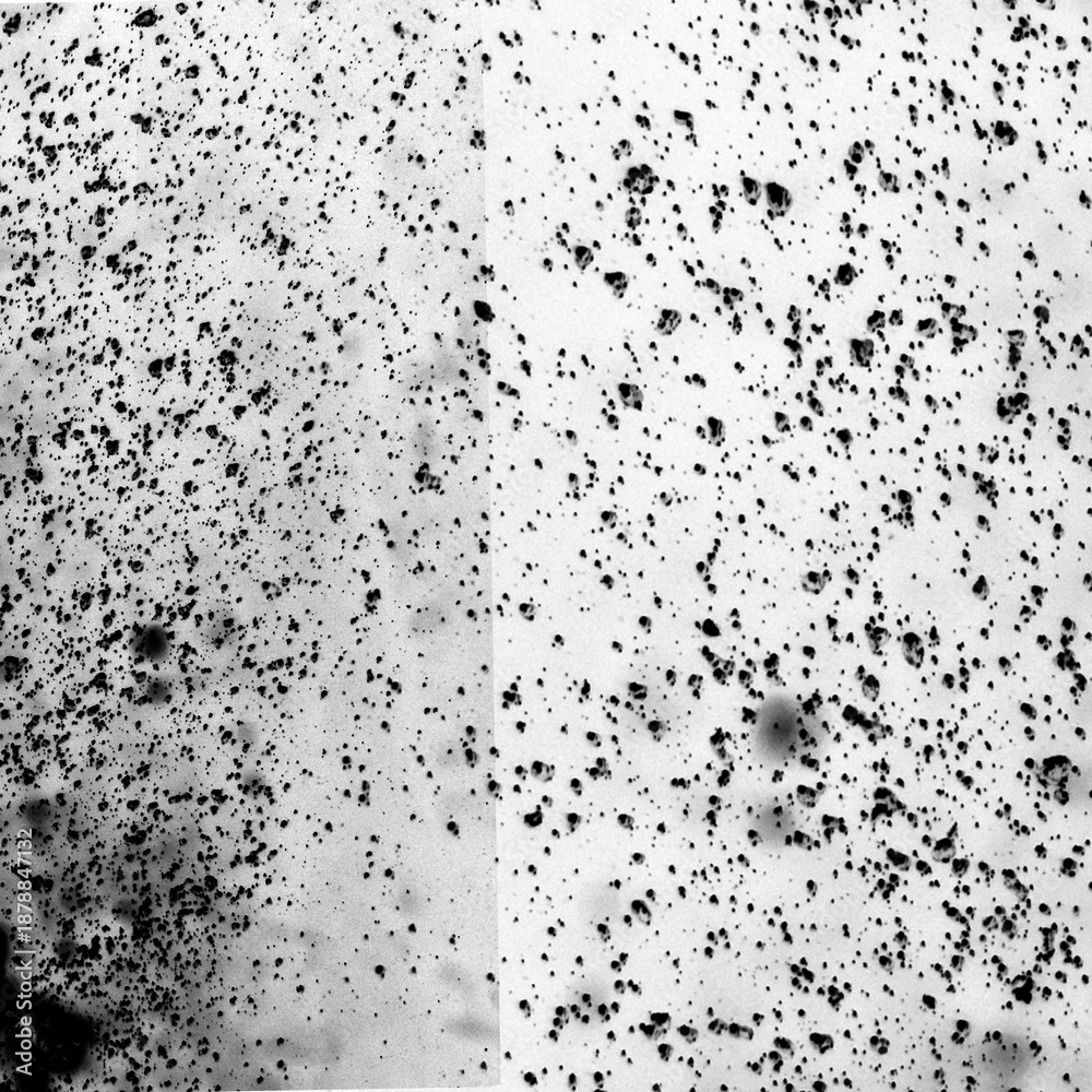 Obraz premium Black Specks on White Background Texture.