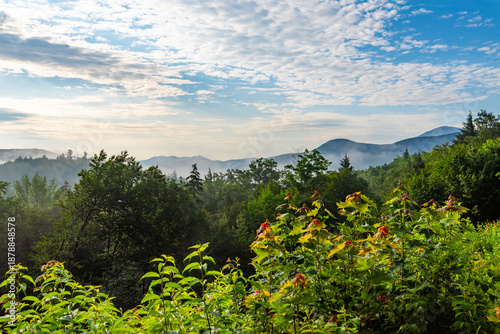 Misty Mountain Tops in New England