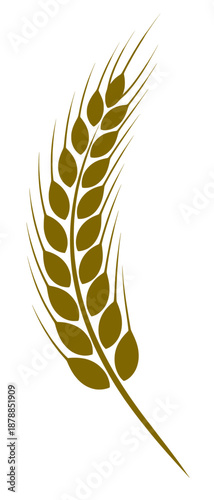 Golden wheat illustration with detailed grain stalks, showcasing natural beauty and agricultural themes, perfect for food, farming, and organic product designs