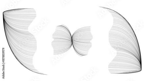  soft white feather with fine details and light shadow, floating mid-air, isolated on white background hand drawn in aline art style. Vector banner with exotic plants for wallpaper design, decor, prin