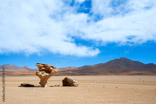 Konstfotografi The Árbol de Piedra (Stone Tree) is a famous, tree-shaped volcanic rock format