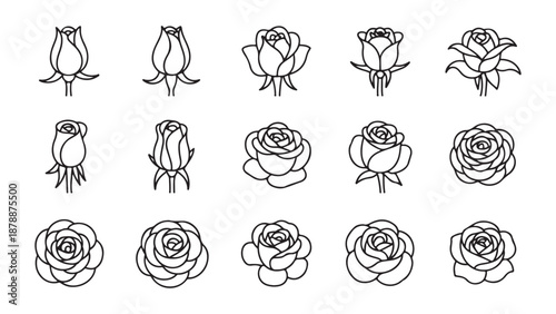 Collection of simple black line icons depicting rose flowers opening from tight bud to bloom