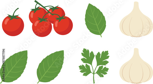 Professional vector illustration set of fresh cooking ingredients including red vine tomatoes, white garlic bulbs, green basil leaves, and flat-leaf parsley.