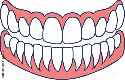 Dental Gums Anatomy Illustration. Healthy Dental Gums Design. Human Dental Gums Structure. Oral Gums Medical Illustration. Dental Gums Health Concept. Teeth and Gums Anatomy. Dental Gums Care Concept