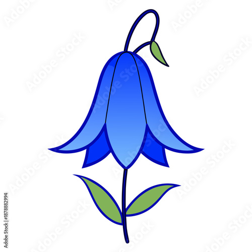  campanula carpatica blue line art on white background 
