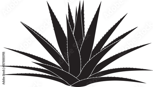 Black silhouette of aloe vera plant succulent cactus agave tropical houseplant botanical decorative element vector illustration