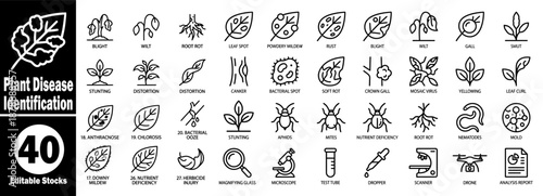Plant disease identification set for agriculture pest and sickness plant research elements. 