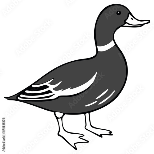 Cartoon illustration of a duck with dark plumage in a side profile