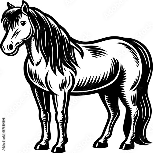 Black and white horse illustration