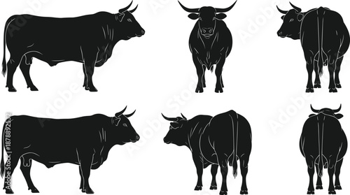 Set of black bull silhouettes standing in various poses from side and front views isolated on white background for livestock and agriculture concepts.