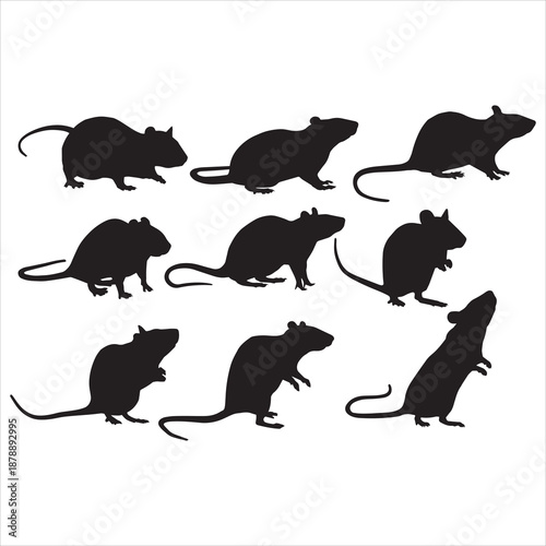 vector silhouettes of rats