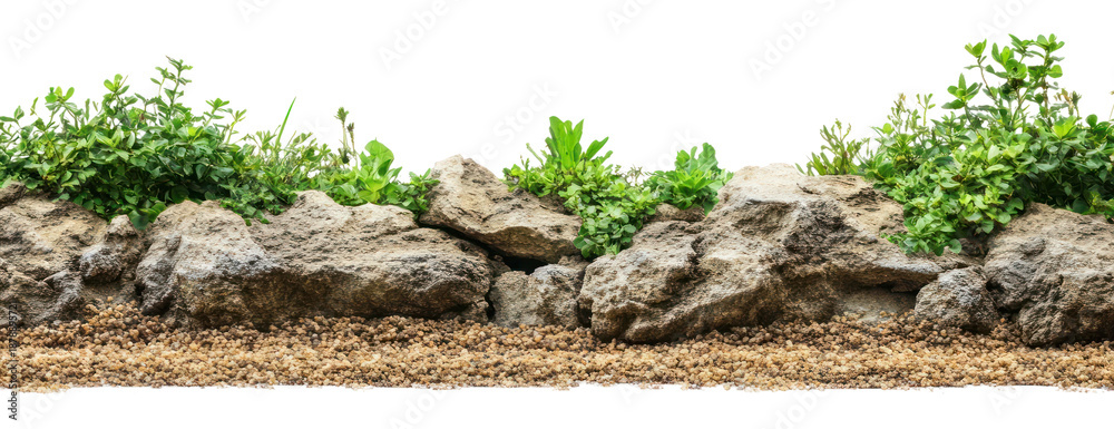 Obraz premium Real Manmade Landscape Border landscape vegetation outdoors.