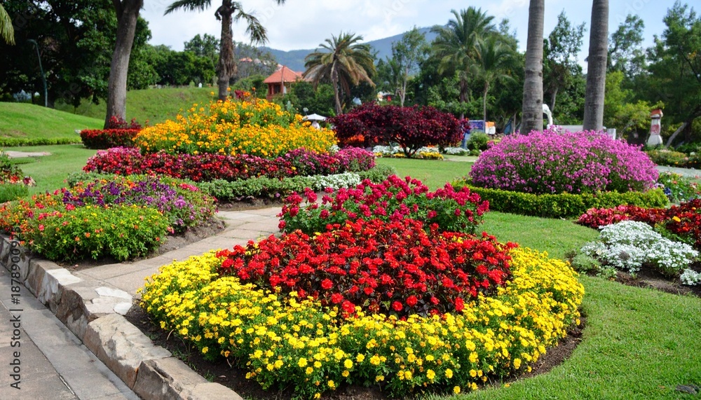 Obraz premium 色鮮やかな花々が咲き誇る庭園