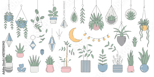 Cute collection of potted indoor plants and hanging terrariums for modern home interior gardening decoration in flat line art style