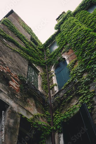 Ivy-Covered Venetian Courtyard Buildings